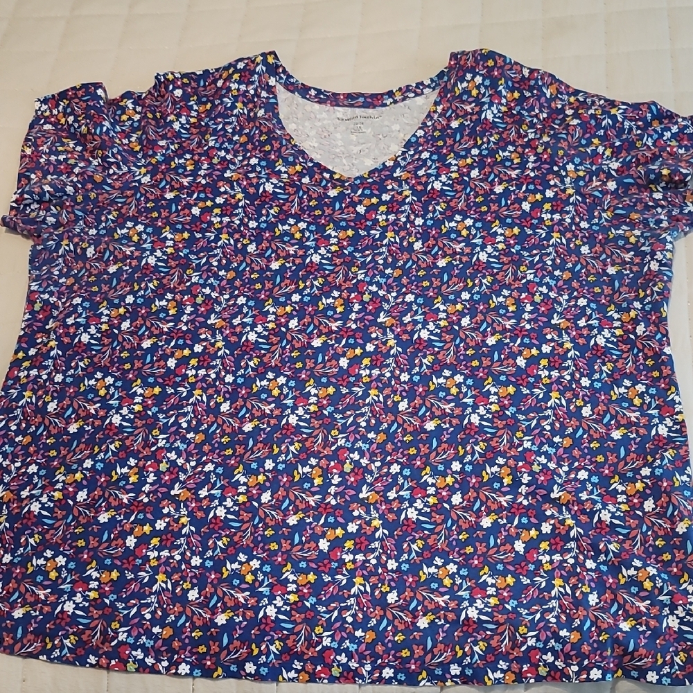 Woman Within Blue Floral Top